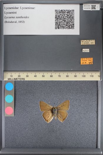 Media type: image;   Entomology 192783